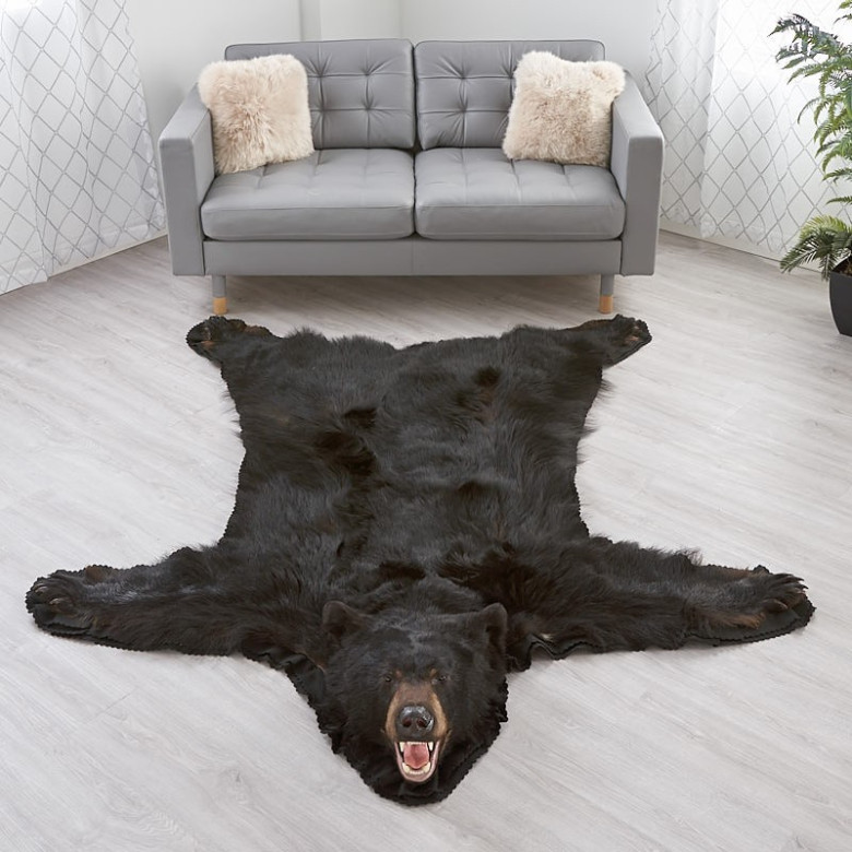 Living Space With A Black Bear Rug, How To Make A Bear Skin Rug