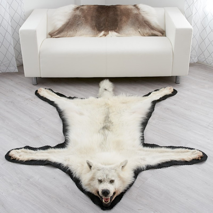 6 Feet 7 Inches (201 cm) Arctic Wolf Skin Rug #EP4159060A