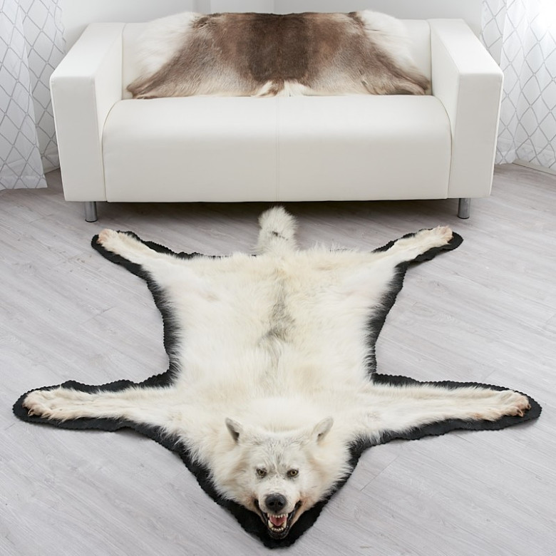 Shop for 6 Feet 7 Inches (201 cm) Arctic Wolf Skin Rug #EP4159060A at Bear  Skin Rugs
