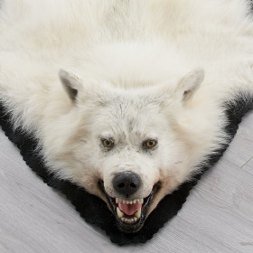 6 Feet 7 Inches (201 cm) Arctic Wolf Skin Rug #EP4159060A