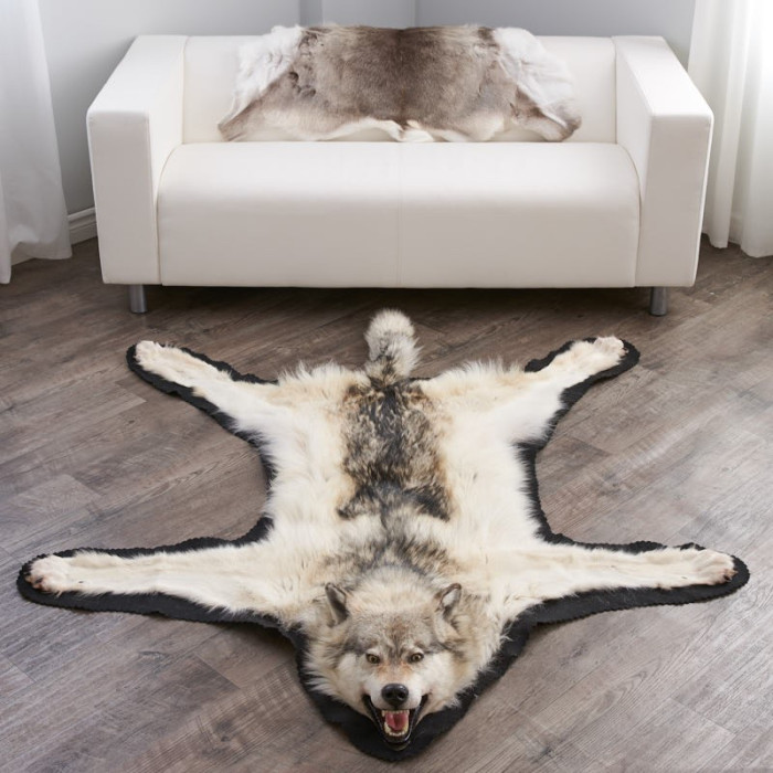 6 Feet 3 Inches (188 cm) Arctic Wolf Skin Rug #EP4155125B