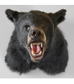Black Bear Shoulder Mount  RU RU1401564