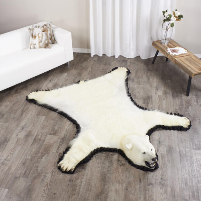 Shop For 7 Foot 1 Inch 215cm Polar Bear Rug 14001 At Bear Skin Rugs