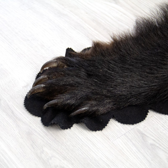 5 Feet 5 Inches (167 cm) Black Bear Rug- 70302650