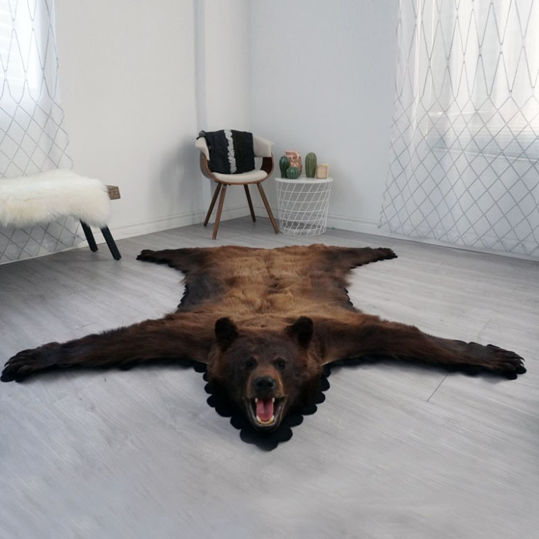 5 Feet 6 Inches 168 Cm Brown Bear Rug, Cost To Make A Bear Skin Rug