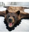 5 Feet 6 Inches (168 cm) Brown Bear Rug- 72693478