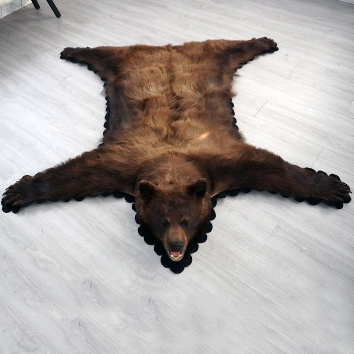 5 Feet 6 Inches (168 cm) Brown Bear Rug- 72693478