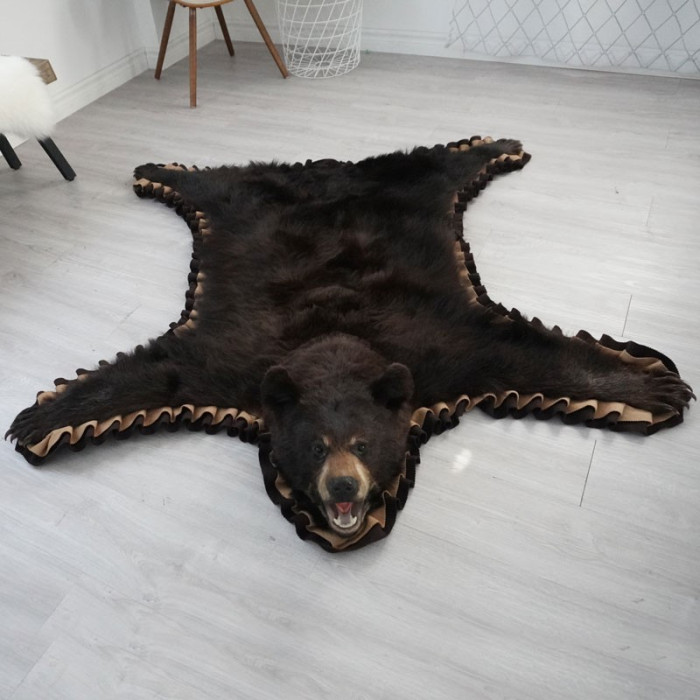 4 Feet 11 Inches (150 cm) Brown Bear Rug 45628850