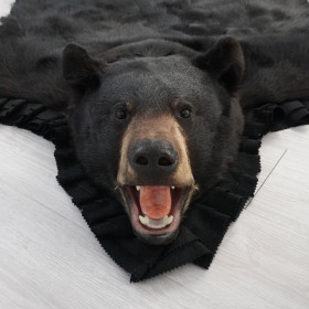 5 Feet 6 Inches (168 cm) Black Bear Rug- 71898779