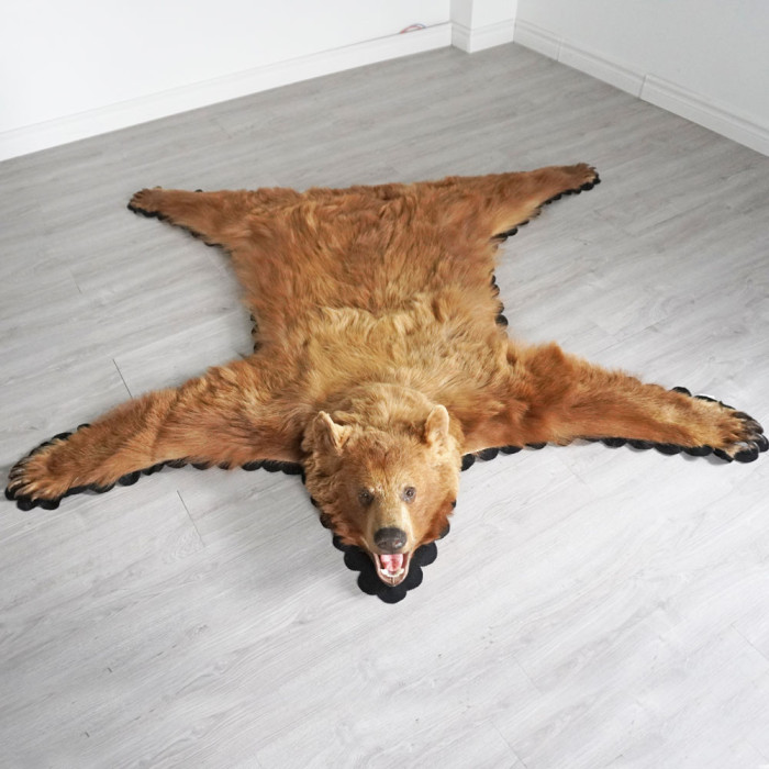 5 Feet 3 Inches (162.5 cm) Brown Bear Rug- 2626101-1