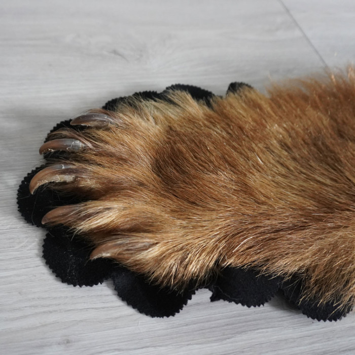 5 Feet 3 Inches (162.5 cm) Brown Bear Rug- 2626101-1