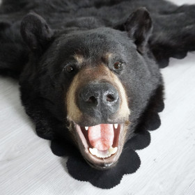 5 Feet 6 Inches (168 cm) Black Bear Rug- 63472551