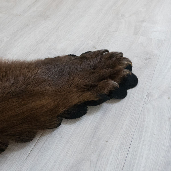 5 Feet 8 Inches (178 cm) Brown Bear Rug- 70502019