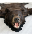 5 Feet 2 Inches (157 cm) Brown Bear Rug- 70512019