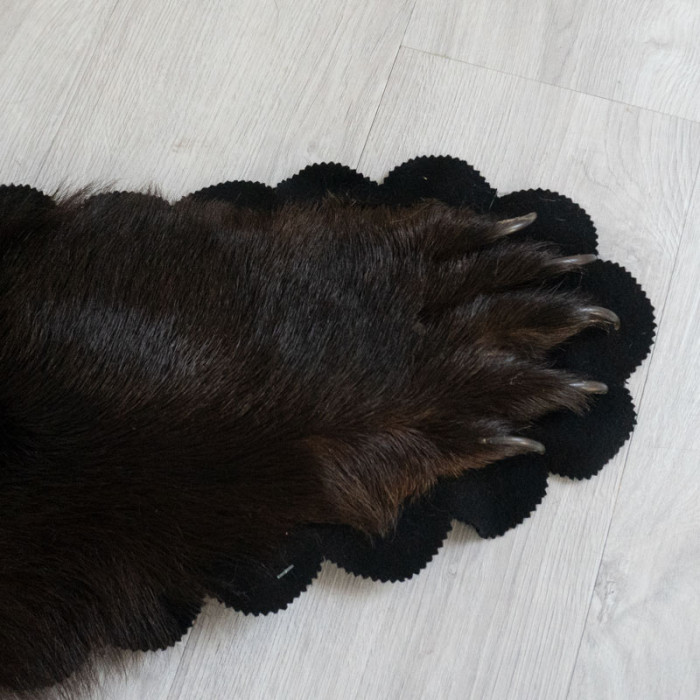 5 Feet 2 Inches (157 cm) Brown Bear Rug- 70512019