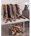 Raccoon Fur Pelts / Tanned Skins