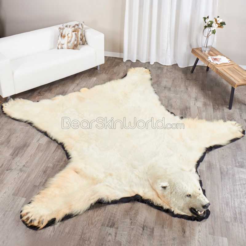 Polar Bear Rugs Rug For, How Much Is A Black Bear Rug Worth