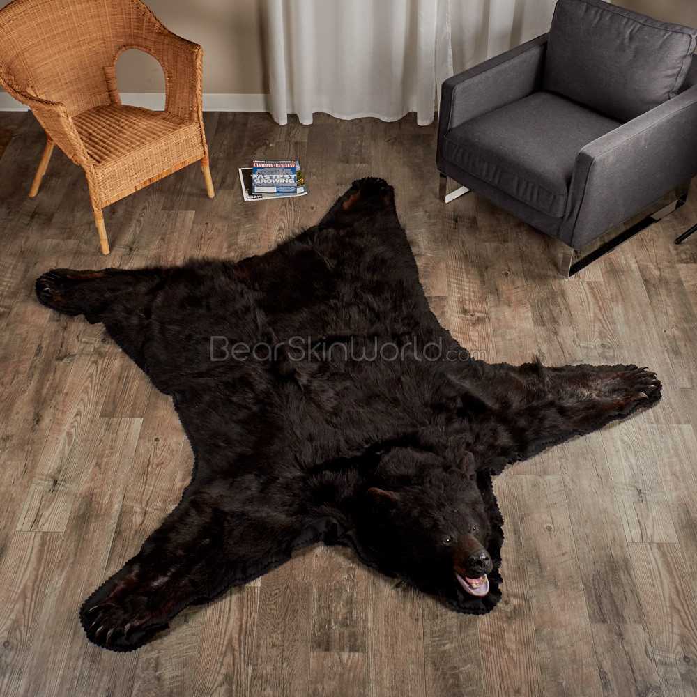 Black Bear Skin Rugs Rug At World