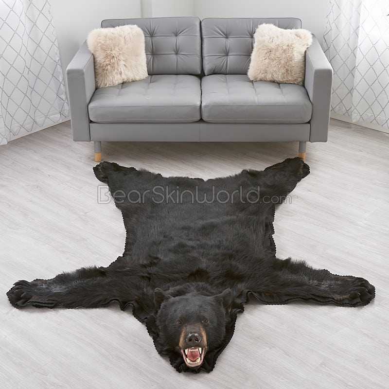 Black Bear Rugs, How Much Is A Real Bear Skin Rug Worth